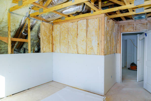 Eco-Friendly or Green Insulation Solutions in Queen Anne, MD