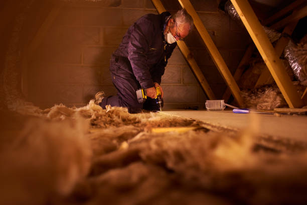 Best Attic Insulation Installation  in Queen Anne, MD